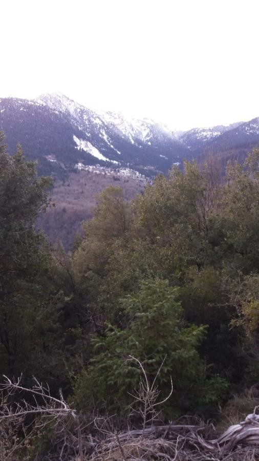 Δωμάτια Με Θέα Mega Chorio エクステリア 写真